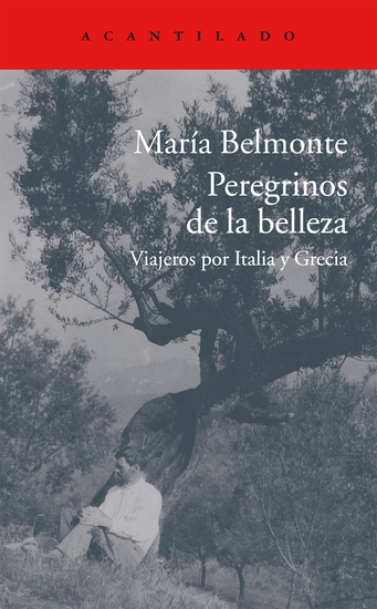 Peregrinos de la belleza - Viajeros por Italia y Grecia - cover