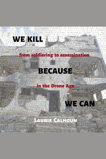We Kill Because We Can - From Soldiering to Assassination in the Drone Age - cover