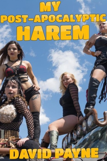 My post-apocalyptic harem - An adventure harem story - cover