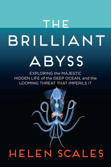 The Brilliant Abyss - Exploring the Majestic Hidden Life of the Deep Ocean and the Looming Threat That Imperils It - cover