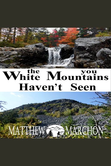 The White Mountains You Haven't Seen - PROMOTIONAL SAMPLER - cover