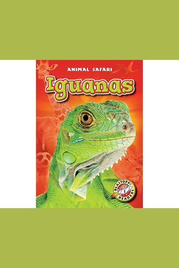 Iguanas - cover