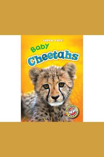 Baby Cheetahs - cover