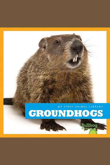 Groundhogs - cover