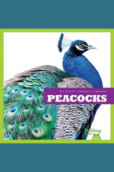 Peacocks - cover