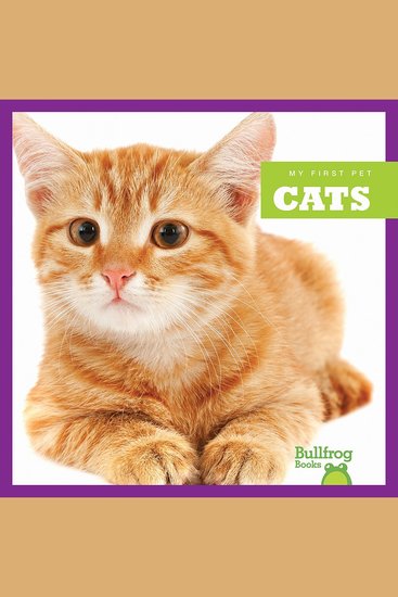 Cats - cover