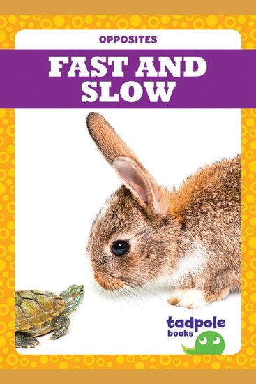 Fast and Slow - cover