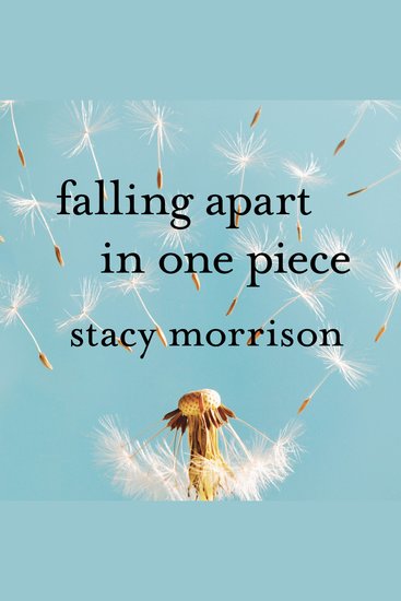 Falling Apart in One Piece - One Optimist's Journey Through the Hell of Divorce - cover