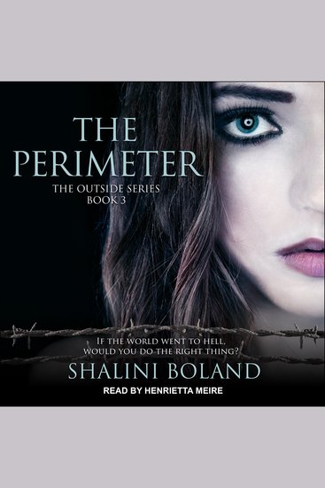 The Perimeter - The Outside Series Book 3 - cover