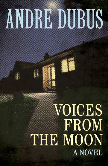 Voices from the Moon - A Novel - cover