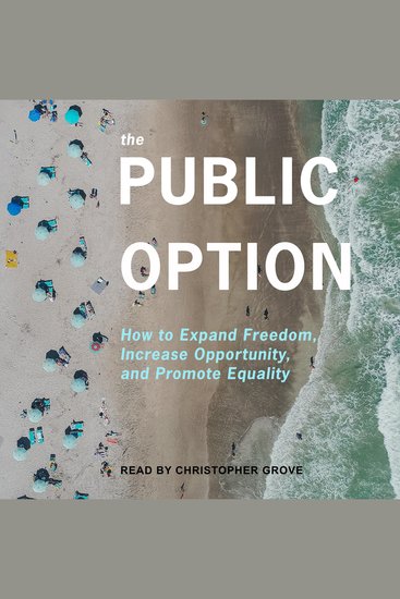The Public Option - How to Expand Freedom Increase Opportunity and Promote Equality - cover