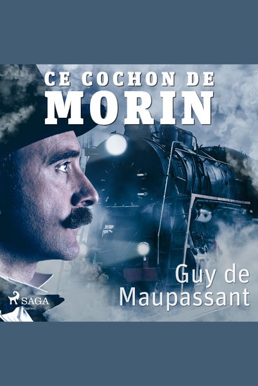 Ce cochon de Morin - cover