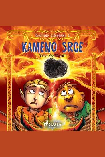 Sudbina vilenjaka 2: Kameno srce - Sudbina vilenjaka - cover