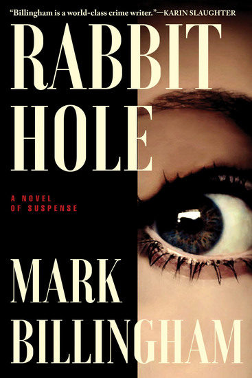 Rabbit Hole - A Novel of Suspense - cover