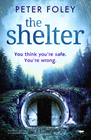 The Shelter - A Completely Gripping Psychological Mystery - cover