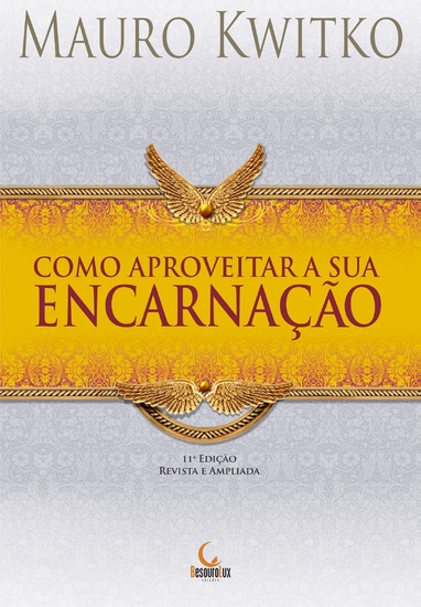 Como Aproveitar a Sua Encarnação - cover
