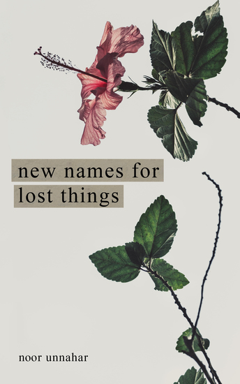 New Names for Lost Things - cover