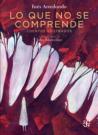 Lo que no se comprende - Cuentos ilustrados