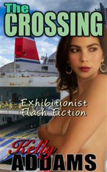 The Crossing - Flash Fiction - cover