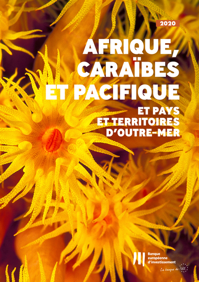 Activité de la BEI en Afrique dans les Caraïbes et dans le Pacifique ainsi que dans les pays et territoires d'outre-mer - Rapport annuel 2020 - cover