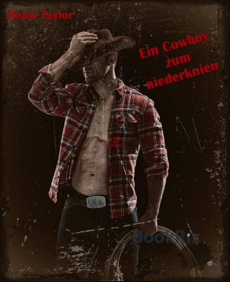 Ein Cowboy zum niederknien - cover