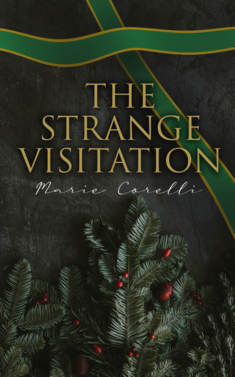 The Strange Visitation - Christmas Mystery Novel - cover