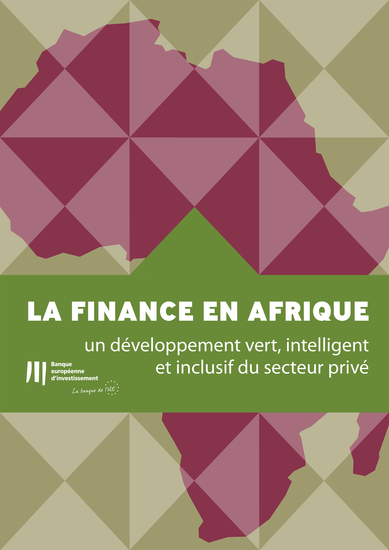 La finance au service de l'Afrique - un développement vert intelligent et inclusif du secteur privé - cover