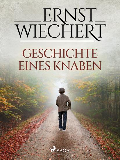 Geschichte eines Knaben - cover