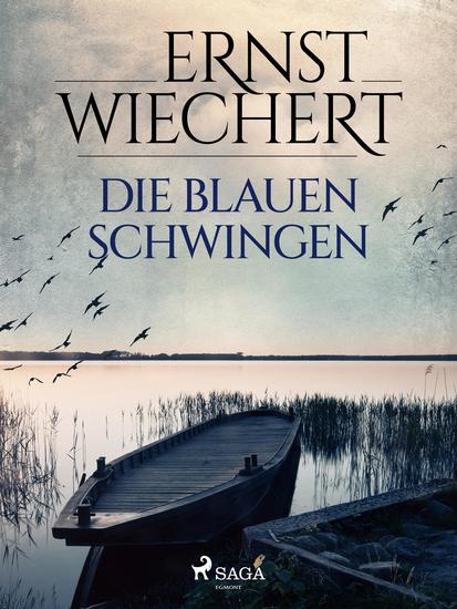 Die blauen Schwingen - cover