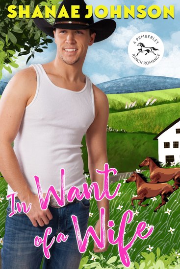 In Want of a Wife - a Sweet Romantic Comedy - cover