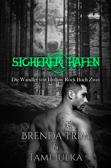 Sicherer Hafen - cover