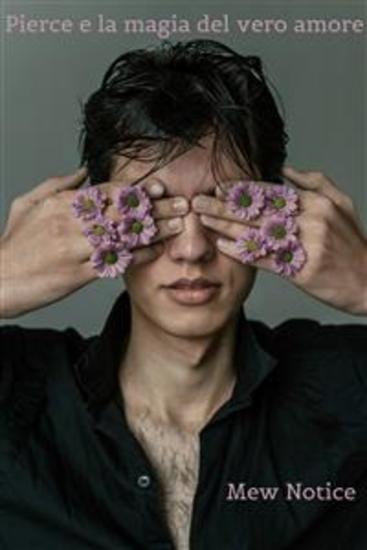 Pierce e la magia del vero amore - cover