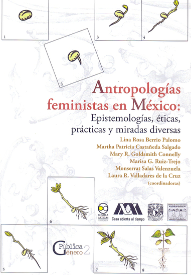 Antropologías feministas en México - Epistemologías éticas prácticas y miradas diversas - cover