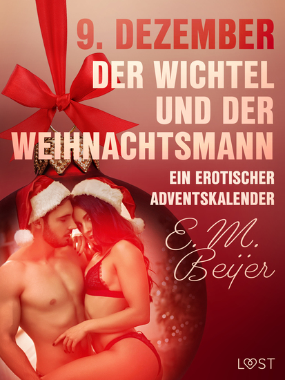 9 Dezember: Der Wichtel und der Weihnachtsmann – ein erotischer Adventskalender - cover