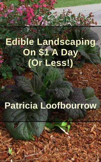 Edible Landscaping On $1 A Day (Or Less) - cover