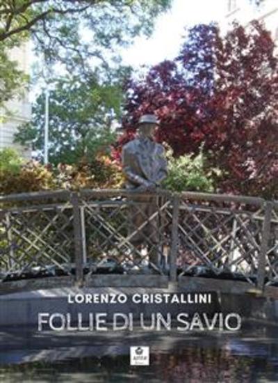 Follie di un savio - cover