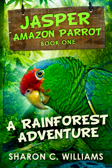 A Rainforest Adventure - cover