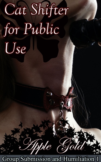 Cat Shifter For Public Use - Book 1 of "Group Submission and Humiliation" - cover