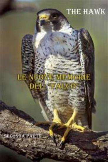 Le nuove memorie del: "Falco" - seconda parte - cover