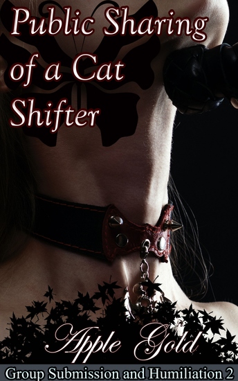 Public Sharing Of A Cat Shifter - Book 2 of "Group Submission and Humiliation" - cover