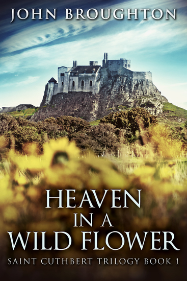 Heaven In A Wild Flower - Tale Of An Anglo-Saxon Leatherworker On Lindisfarne - cover
