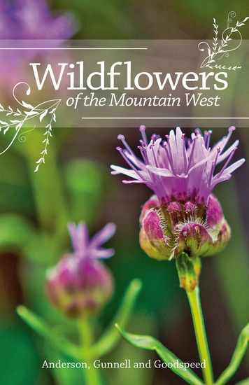 Wildflowers of the Mountain West - cover