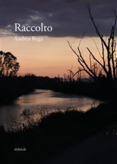 Raccolto - cover
