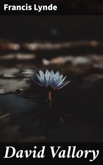 David Vallory - An Intriguing Tale of Secret Societies and Political Intrigue in the Gilded Age - cover