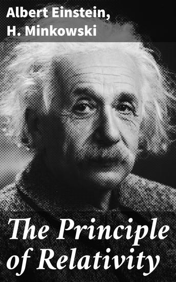 The Principle of Relativity - Exploring the Depths of Relativity Theory - cover