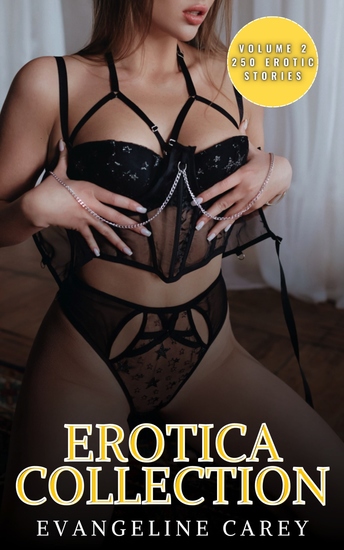 Erotica Collection - Vol 2 - 250 Erotic Stories - cover