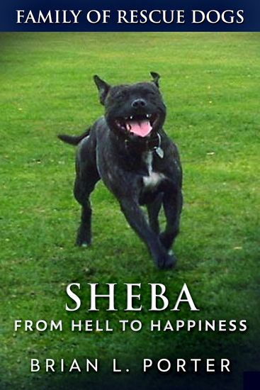 Sheba - From Hell to Happiness - cover