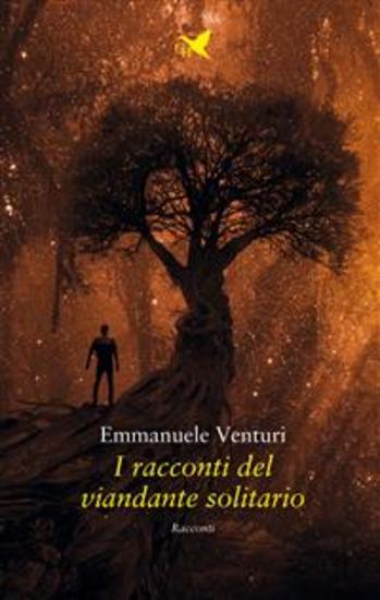 I racconti del viandante solitario - cover