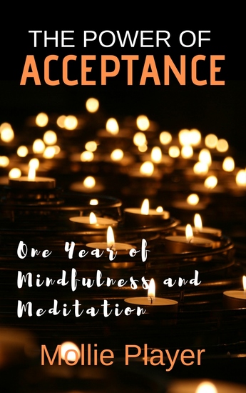 The Power Of Acceptance - One Year Of Mindfulness And Meditation - cover