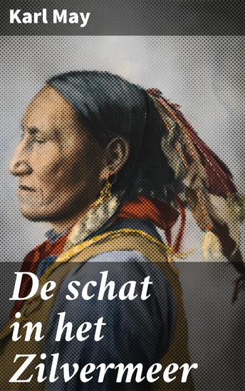De schat in het Zilvermeer - Een meeslepend avontuur in het Wilde Westen vol mysterie en schattenjachten - cover